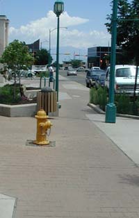 Sidewalk obstruction